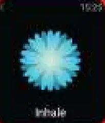 boAt WAVE ULTIMA Smart Watch - fig 2