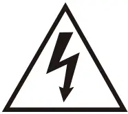 Electrocution Risk
 icon