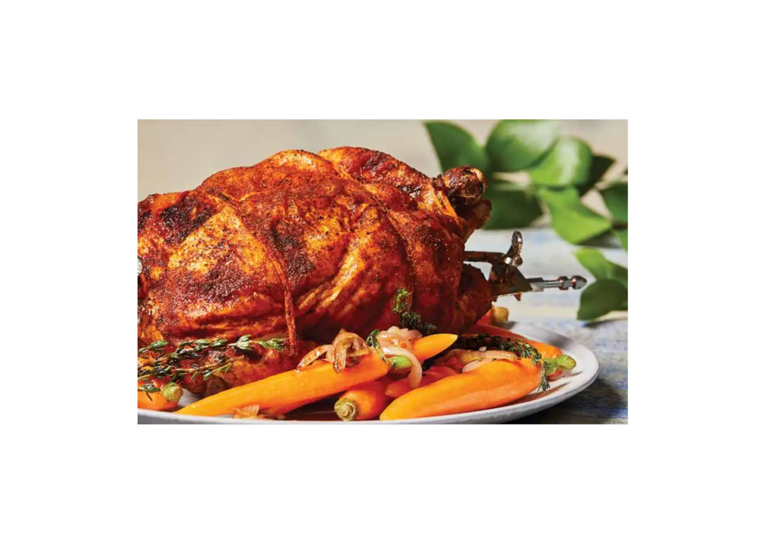 Tristar Shaq Air Fryer Pro Rotisserie Recipe User Guide