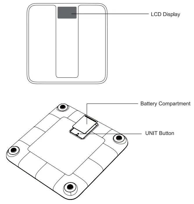 TRANSTEK TeleRPM BS 2001 G1 Pro Cellular Body Scale-fig1