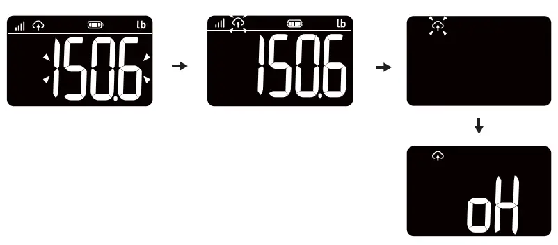 TRANSTEK TeleRPM BS 2001 G1 Pro Cellular Body Scale-fig10