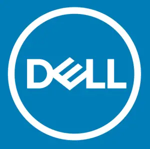 DELL logo q123