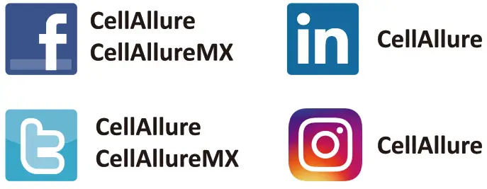 CellAllure CHIC X2 Mobile Phone - fig