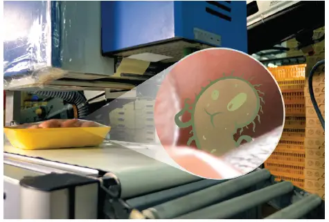 Atlas-Copco-Air-Testing-in-Food-and-Beverage-WhitePaper-FIG-3