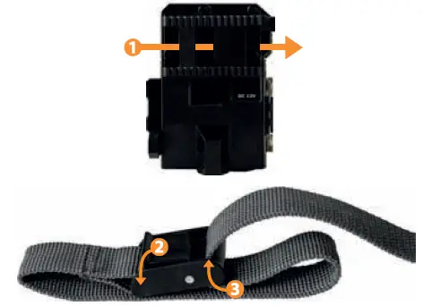 spypoint-Link-Micro-cellular-trail-camera-fig-9