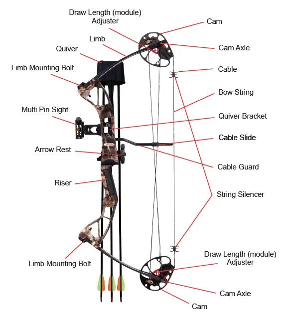 FRANKONIA-REX-Archery-Research-Compoundbogen-FIG-1