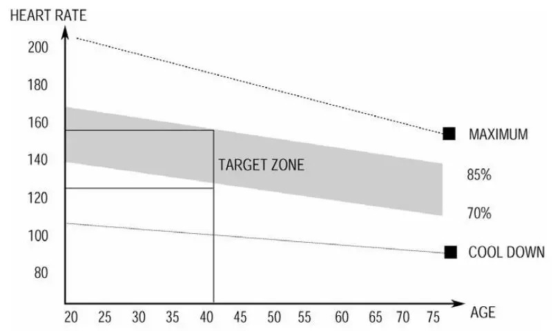 LIFESPAN Walkingpad Pro Treadmill - TARGET ZONE