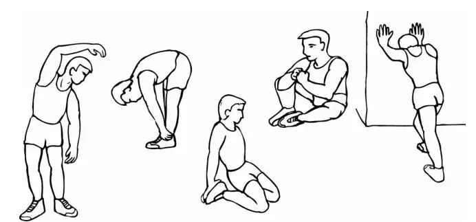 LIFESPAN Walkingpad Pro Treadmill - Warm-up