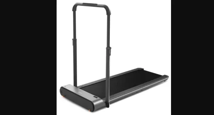 Lifespan Walkingpad Pro Treadmill Owner's Manual Lifespan Walkingpad Pro Treadmill Owner's Manual