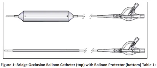 Spectranetics P011312-05 Bridge Occlusion Balloon Catheter-fig2