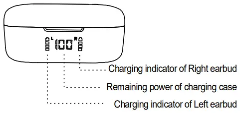 Charging case indicator
