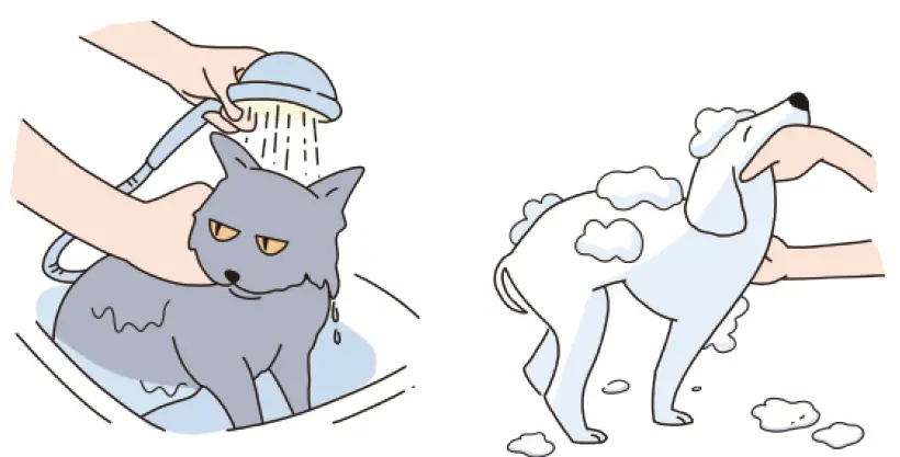 Dogcare-PC01-Smart-Pet-Clipper-19