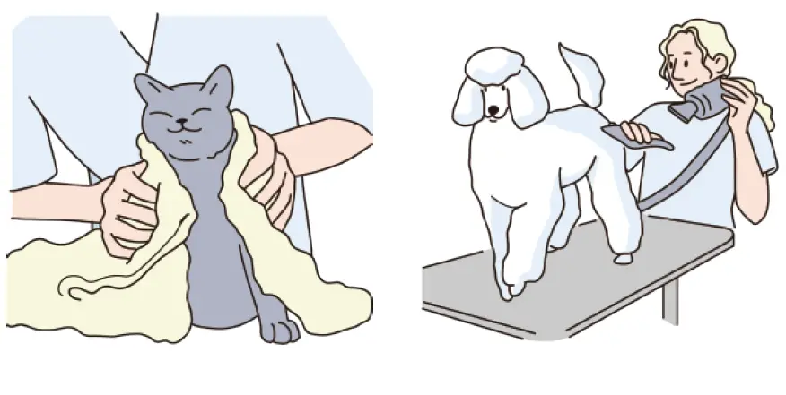 Dogcare-PC01-Smart-Pet-Clipper-20