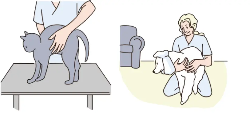 Dogcare-PC01-Smart-Pet-Clipper-21