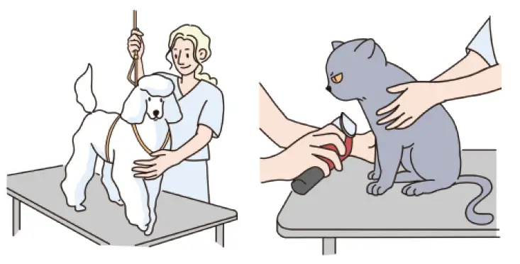 Dogcare-PC01-Smart-Pet-Clipper-22