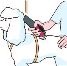 Dogcare-PC01-Smart-Pet-Clipper-29