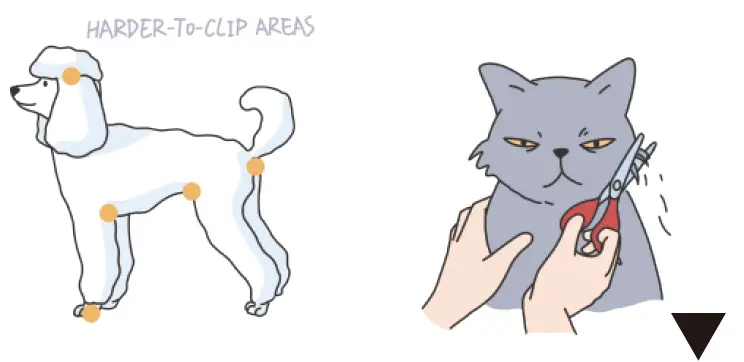 Dogcare-PC01-Smart-Pet-Clipper-29