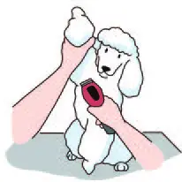 Dogcare-PC01-Smart-Pet-Clipper-31