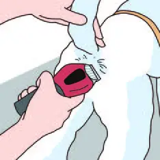 Dogcare-PC01-Smart-Pet-Clipper-33