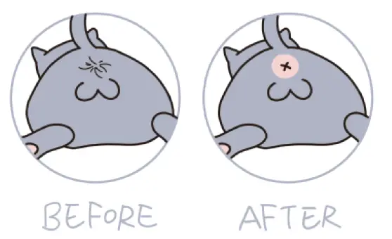 Dogcare-PC01-Smart-Pet-Clipper-34