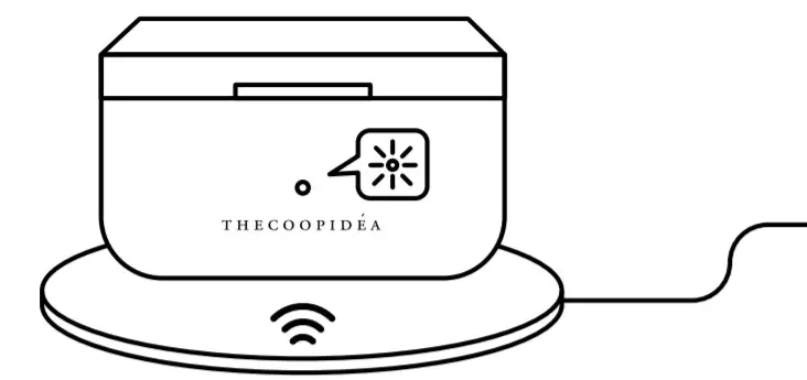 Thecoopidea True Wireless - By Wireless Charge