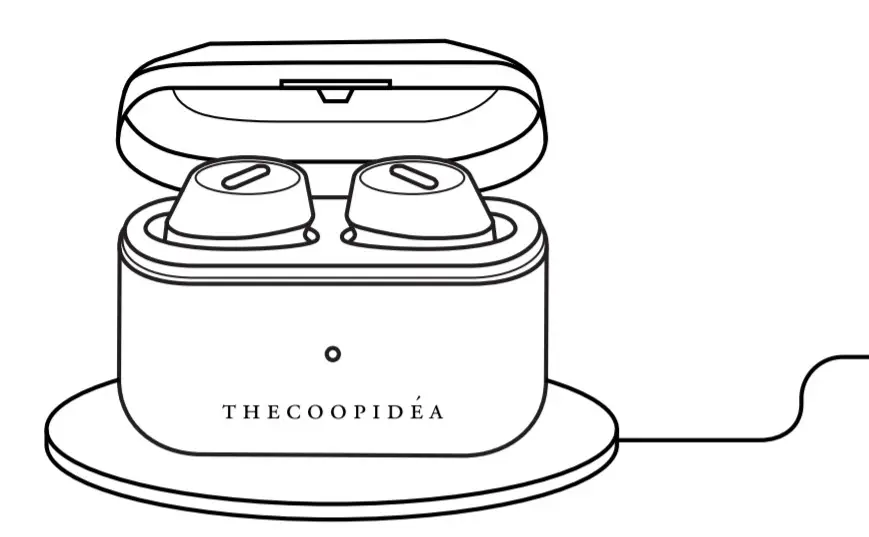 Thecoopidea True Wireless - CHARGE