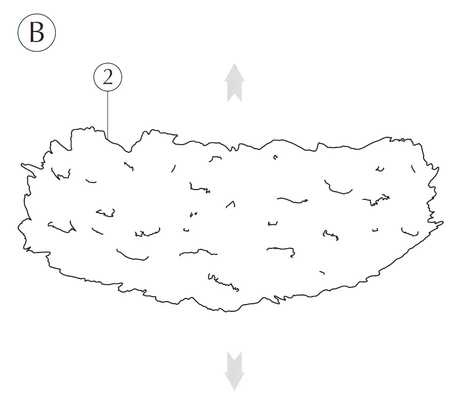 UMAGE EOS XXL Pendant Light fig 6