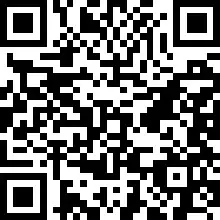 WOYO Paintless Dent Repair - barcode 2