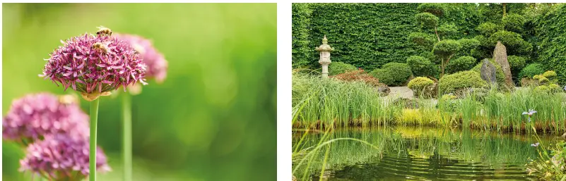 Oase B2C Pond Liner-FIG2