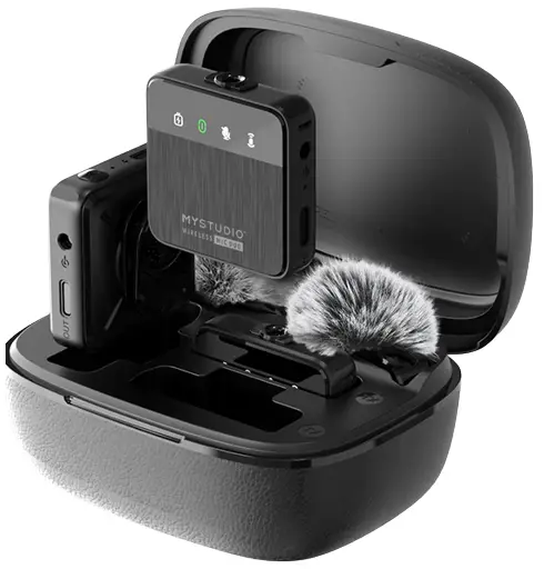 MYSTUDIO Wireless Mic Audio Wireless Dual Channel Microphone System