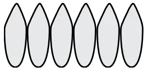 Thermador PAALTKITGW Dual Fuel Professional Range 48 Inch Pro Grand - Icon 2