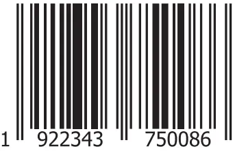 BASS JAXX HP-0333 Swing Wireless Charging Bluetooth -BAR