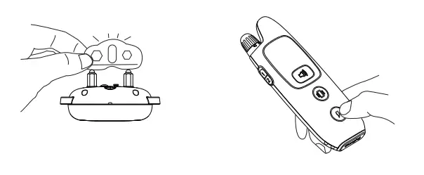 PATPET P Collar 682 Dog Training Collar - lamp