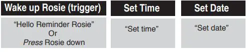 smpl Rosie2 Voice Reminder Alarm Clock - Set the time and date