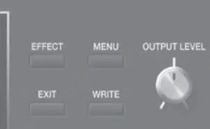 Adjusting the Volume