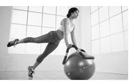 merrithew Halo Trainer-Plus-with-Stability-Ball-and-Pump-for-Pilates-fig- (1)