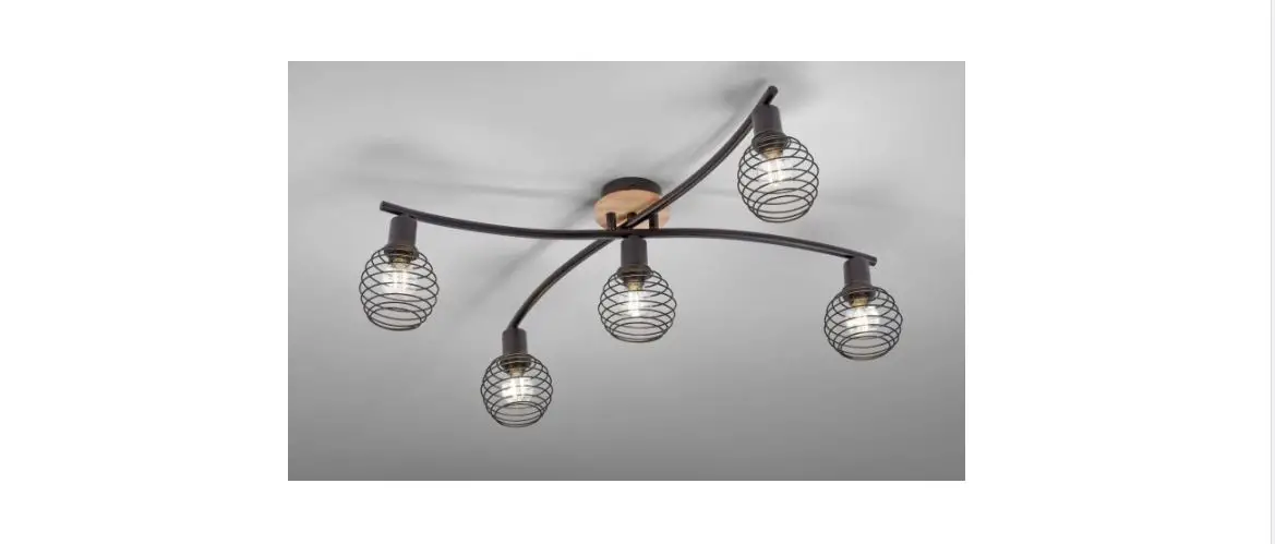 Leuchtendireckt 15925-79 Eugen Ceiling Light Instruction Manual