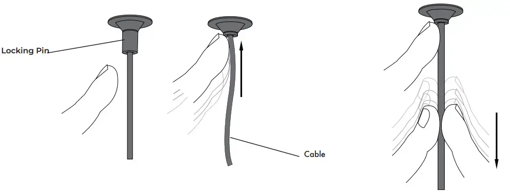 VONN VAP2192 Antique Brass Torino 2 Light-Adjust Height