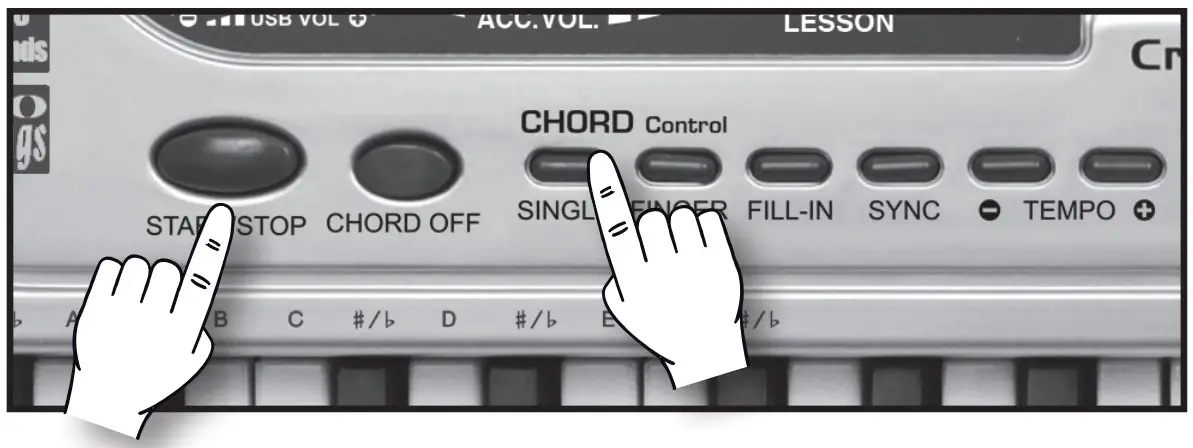 SINGLE CHORD