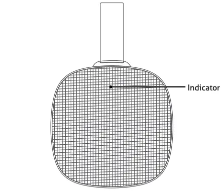 Pairing successfully