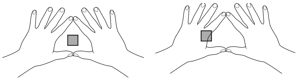 ZEBRA HD4000 Head Mounted Display - Determining Dominant Eye