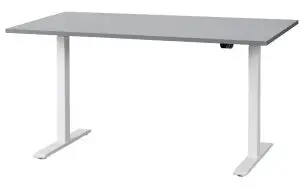 IKEA RODULF Desk