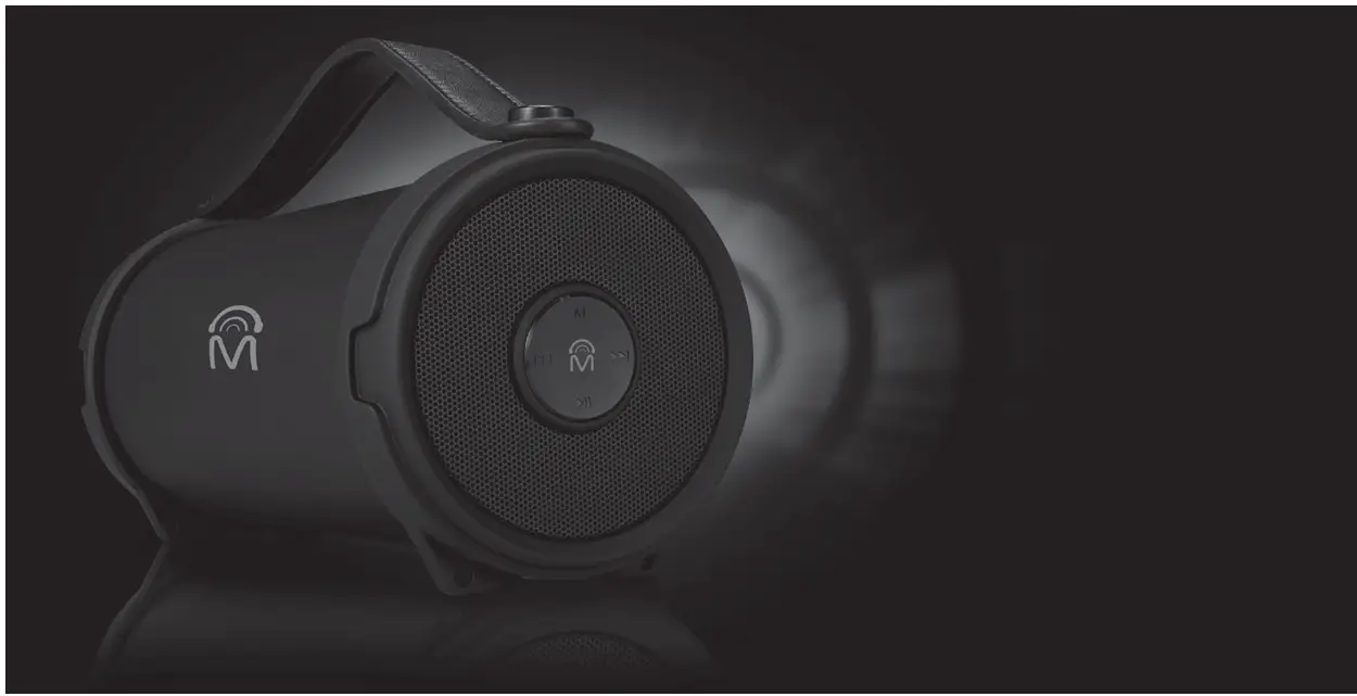 Cj Global 53877 Outdoor Indoor True Wireless Speaker User Manual