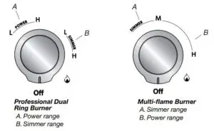 Professional Dual Ring Burner