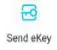 Send e-Key