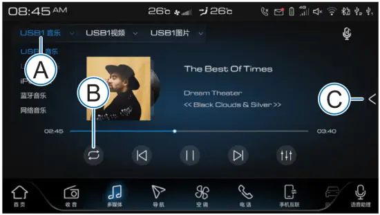 Music Playback