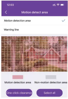 motion detect area