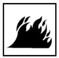 fire icon