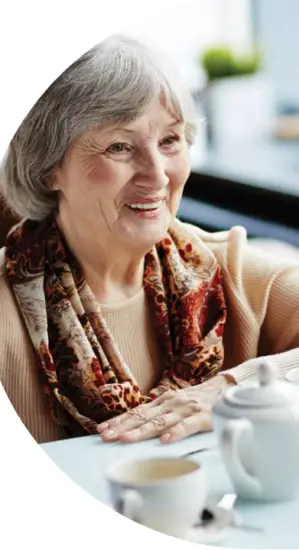 Bay Alarm Medial In-Home Medical Alert System FIG 18