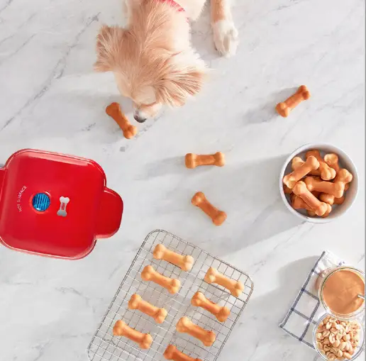 Peanut Butter Pumpkin Treats